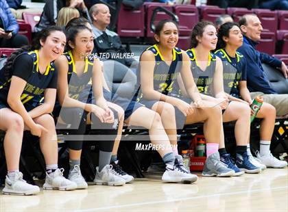 Thumbnail 1 in Notre Dame vs. Sacred Heart Prep (CIF CCS D4 Final) photogallery.