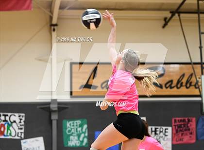 Thumbnail 3 in Chico @ Graford photogallery.