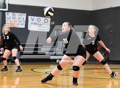 Thumbnail 3 in Chico @ Graford photogallery.