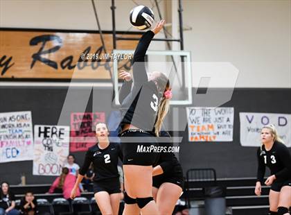 Thumbnail 1 in Chico @ Graford photogallery.