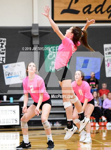 Thumbnail 3 in Chico @ Graford photogallery.