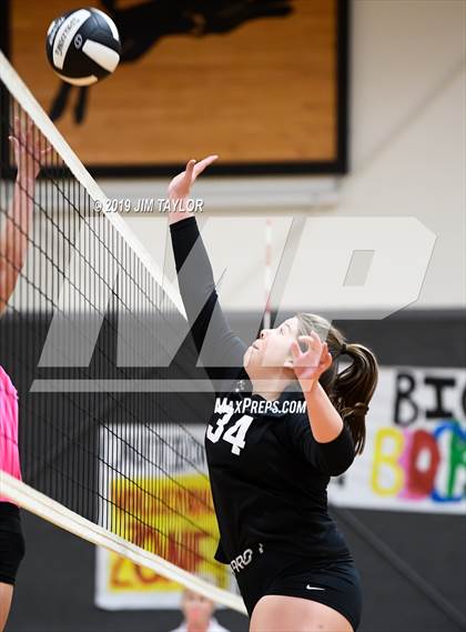 Thumbnail 1 in Chico @ Graford photogallery.