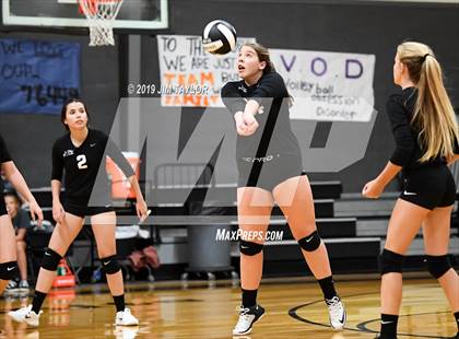 Thumbnail 3 in Chico @ Graford photogallery.