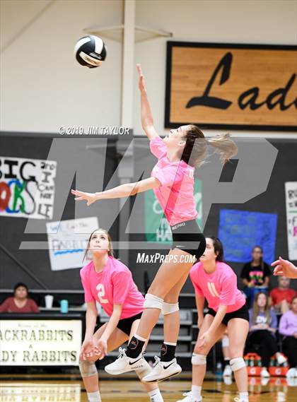 Thumbnail 2 in Chico @ Graford photogallery.