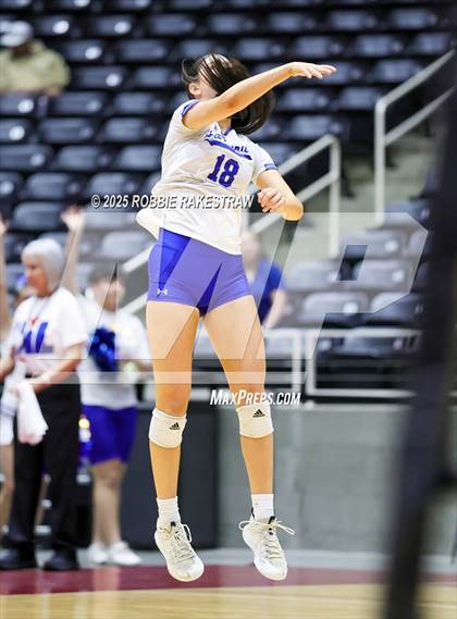 Thumbnail 2 in Decatur @ La Vernia (UIL 4A D1 Volleyball Final) photogallery.