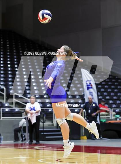Thumbnail 3 in Decatur @ La Vernia (UIL 4A D1 Volleyball Final) photogallery.