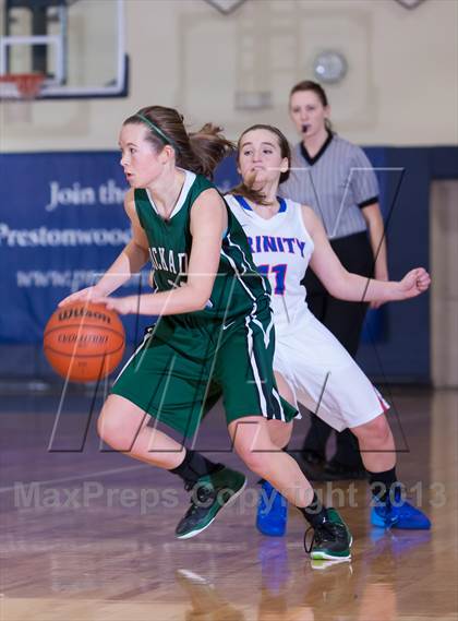 Thumbnail 1 in Hockaday vs Trinity Christian (Lady Lion Invitational Tournament) photogallery.
