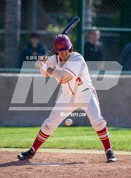 Thumbnail 1 in Brea Olinda @ El Modena photogallery.