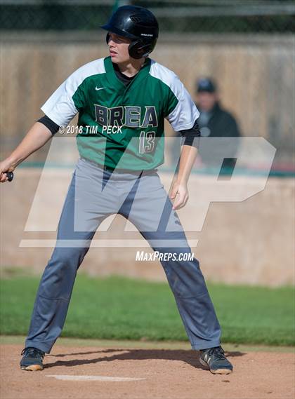 Thumbnail 3 in Brea Olinda @ El Modena photogallery.