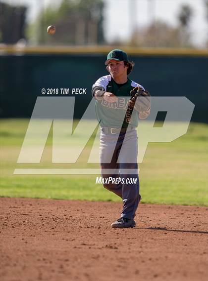 Thumbnail 1 in Brea Olinda @ El Modena photogallery.