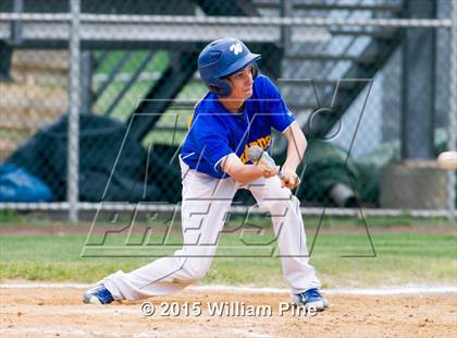 Thumbnail 1 in Washingtonville @ Kingston photogallery.