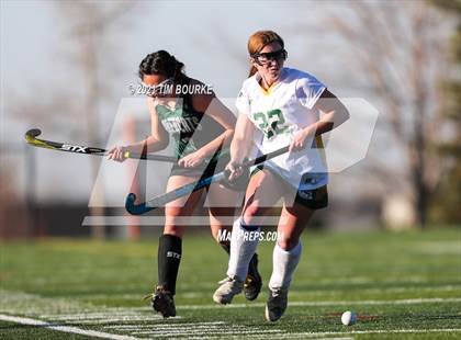 Thumbnail 3 in Fossil Ridge @ Mountain Vista photogallery.