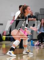 Photo from the gallery "Magnolia @ A&M Consolidated"