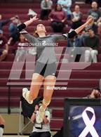 Photo from the gallery "Magnolia @ A&M Consolidated"