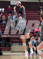 Photo from the gallery "Magnolia @ A&M Consolidated"