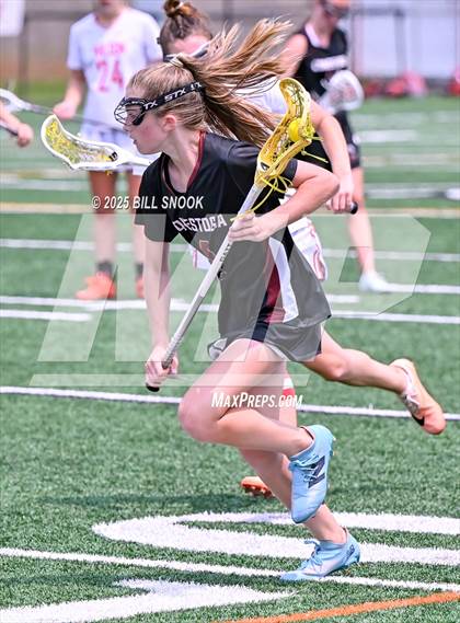 Thumbnail 1 in Conestoga @ Wilson (PIAA 3A Round 1) photogallery.
