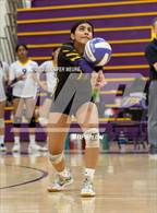 Photo from the gallery "Irvington @ Kennedy"