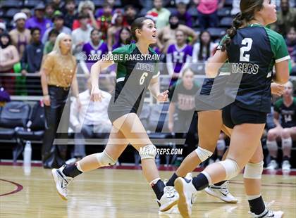 Thumbnail 2 in Neches vs. Harrold (UIL 1A Volleyball Final) photogallery.
