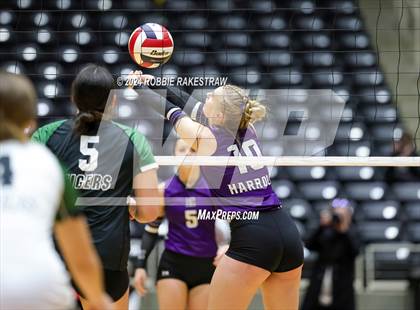 Thumbnail 3 in Neches vs. Harrold (UIL 1A Volleyball Final) photogallery.