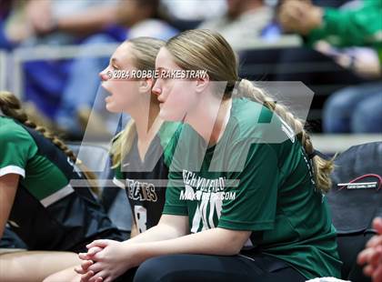 Thumbnail 1 in Neches vs. Harrold (UIL 1A Volleyball Final) photogallery.