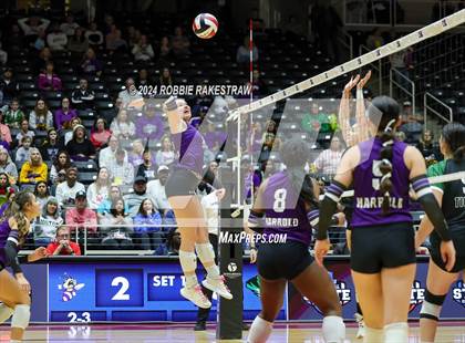 Thumbnail 3 in Neches vs. Harrold (UIL 1A Volleyball Final) photogallery.