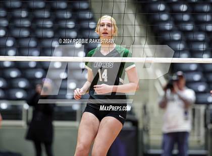 Thumbnail 3 in Neches vs. Harrold (UIL 1A Volleyball Final) photogallery.