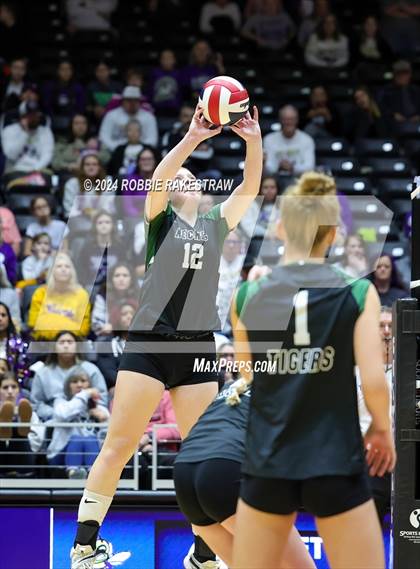 Thumbnail 1 in Neches vs. Harrold (UIL 1A Volleyball Final) photogallery.