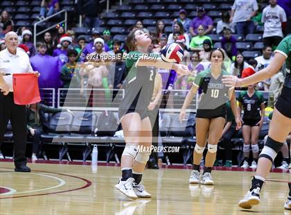 Thumbnail 1 in Neches vs. Harrold (UIL 1A Volleyball Final) photogallery.