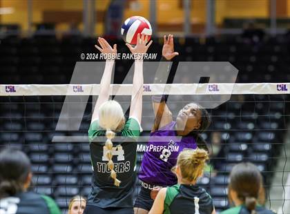 Thumbnail 3 in Neches vs. Harrold (UIL 1A Volleyball Final) photogallery.