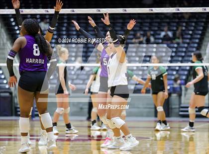 Thumbnail 3 in Neches vs. Harrold (UIL 1A Volleyball Final) photogallery.