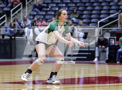 Thumbnail 3 in Neches vs. Harrold (UIL 1A Volleyball Final) photogallery.