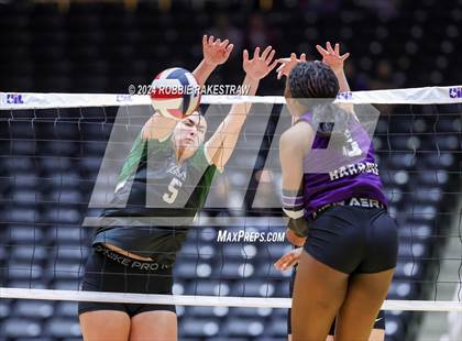 Thumbnail 3 in Neches vs. Harrold (UIL 1A Volleyball Final) photogallery.