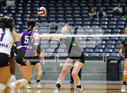 Thumbnail 1 in Neches vs. Harrold (UIL 1A Volleyball Final) photogallery.