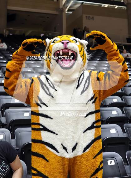 Thumbnail 2 in Neches vs. Harrold (UIL 1A Volleyball Final) photogallery.