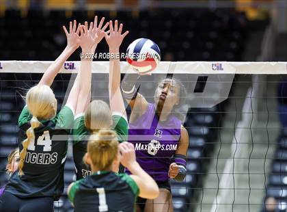 Thumbnail 3 in Neches vs. Harrold (UIL 1A Volleyball Final) photogallery.