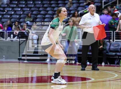 Thumbnail 1 in Neches vs. Harrold (UIL 1A Volleyball Final) photogallery.