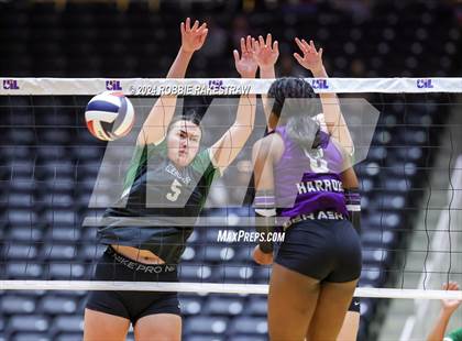 Thumbnail 1 in Neches vs. Harrold (UIL 1A Volleyball Final) photogallery.