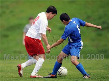 Thumbnail 2 in Florence @ Hazel Green photogallery.