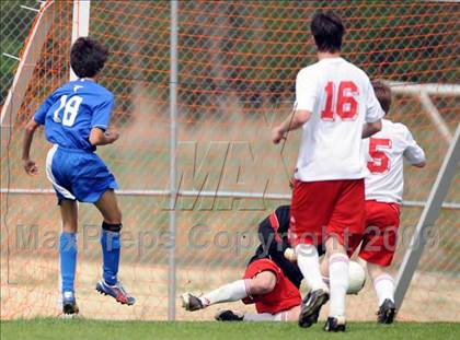 Thumbnail 3 in Florence @ Hazel Green photogallery.
