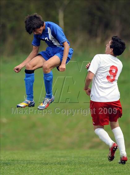 Thumbnail 3 in Florence @ Hazel Green photogallery.