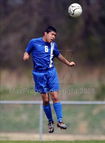 Thumbnail 3 in Florence @ Hazel Green photogallery.