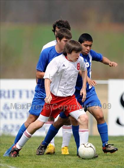Thumbnail 1 in Florence @ Hazel Green photogallery.