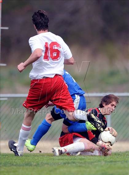 Thumbnail 2 in Florence @ Hazel Green photogallery.