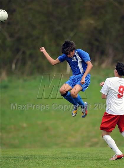 Thumbnail 2 in Florence @ Hazel Green photogallery.