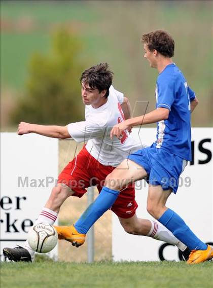 Thumbnail 2 in Florence @ Hazel Green photogallery.