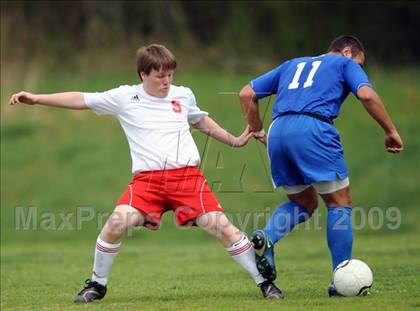 Thumbnail 2 in Florence @ Hazel Green photogallery.