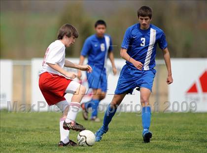 Thumbnail 2 in Florence @ Hazel Green photogallery.