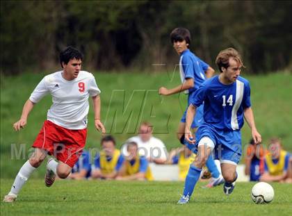 Thumbnail 2 in Florence @ Hazel Green photogallery.