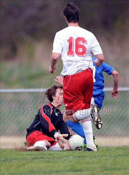 Thumbnail 3 in Florence @ Hazel Green photogallery.