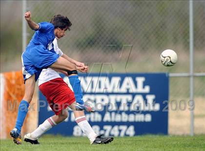 Thumbnail 1 in Florence @ Hazel Green photogallery.